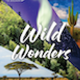 ToD WW 07 Pathfinders Discovery Notebook