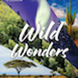 ToD WW 02 Spotlight Discovery Pack