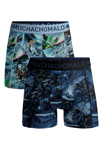 PREHISTORY1010 04.jpg