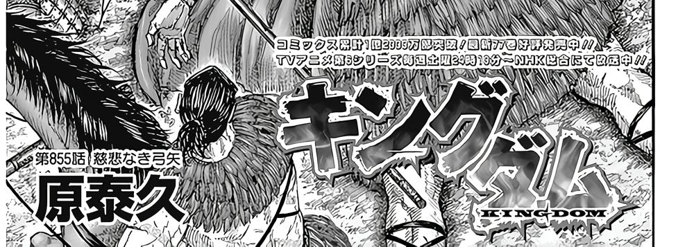 Manga Kingdom Chapter 855 Spoiler/Raw/Engsub: Merciless Arrows 12