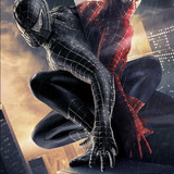El Hombre Araña 3