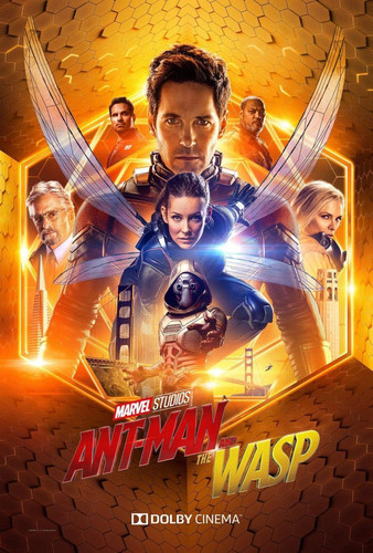 Ant Man y la Avispa