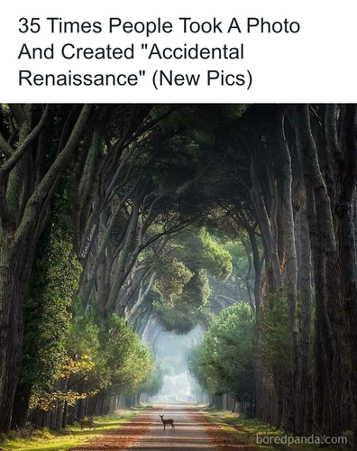 download 2025 10 28T120718.847.png