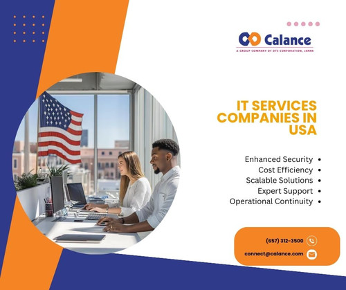 IT services companies in USA.jpg