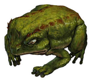 sapo2.png