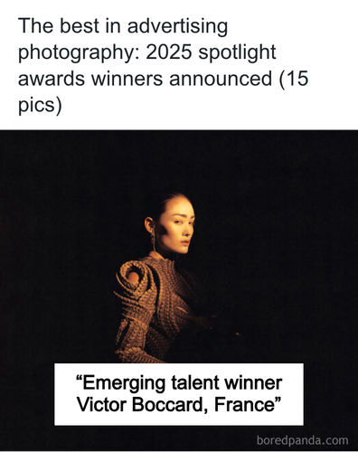 spotlight awards 2025 winners production paradise.png