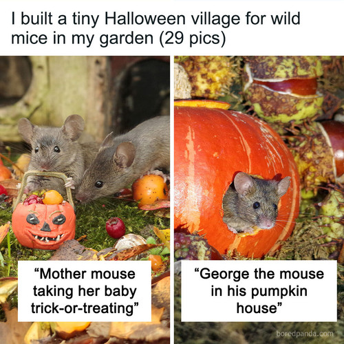halloween mice village simon dell.jpg
