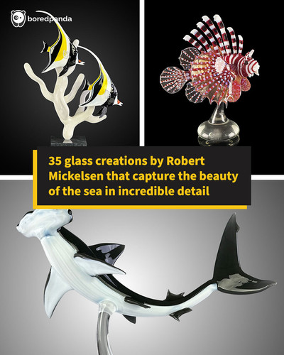 ocean life glass.jpg