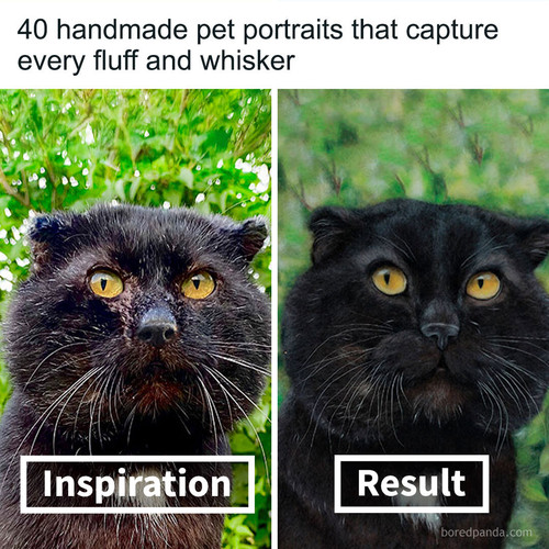 felted pet portraits katerina karavai.jpg