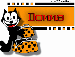 Donna Cat CindyHarper Felix vi.gif