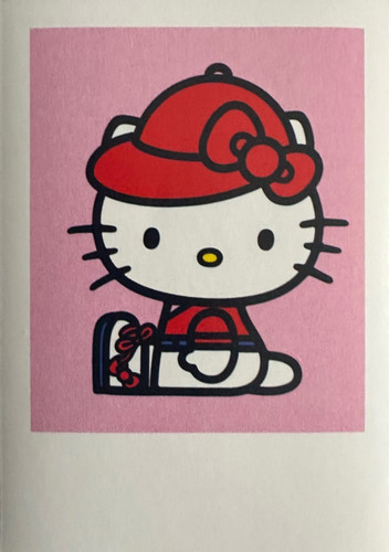 Hello Kitty 100.jpg