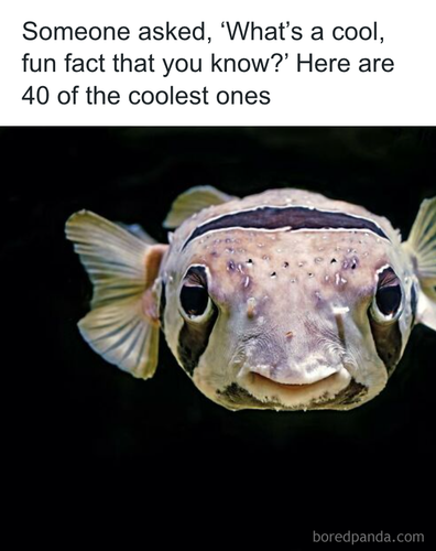 download 2025 10 28T153203.869.png