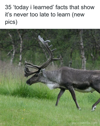 download 2025 10 28T153304.592.png