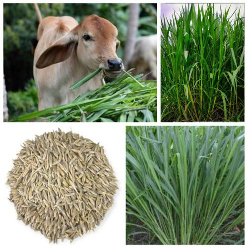 Untitled design(3).jpg