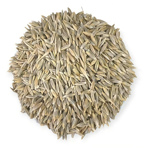 Airbrush Image Enhancer 1761637520865.jpg