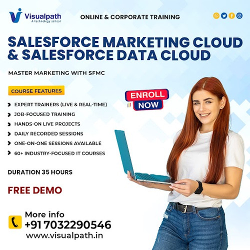 Salesforce Marketing Cloud Training  Salesforce Cloud Training.jpg