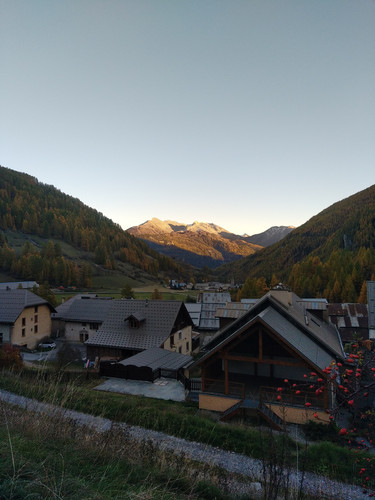 IMG 20251028 170140.jpg