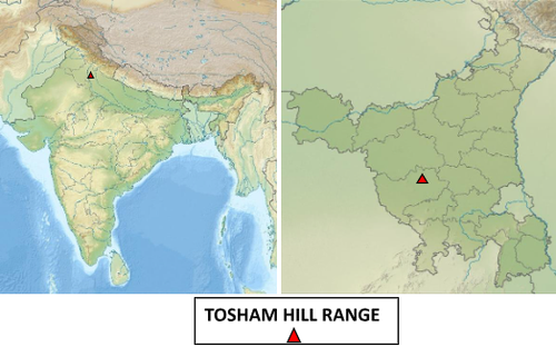 TOSHAM HILL RANGE.png