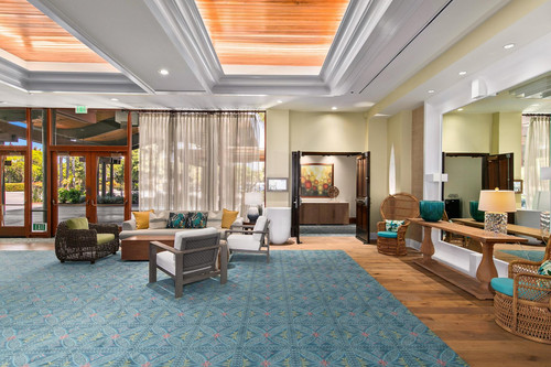 Online Veterinary Conferences Redefining Professional Growth.jpg