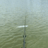 来呀，快活呀.gif