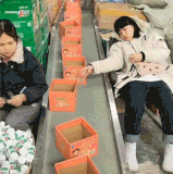 老板小姨子特供岗.gif