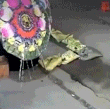 很普通的闹鬼罢了.gif
