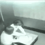 应激反应性行为.gif