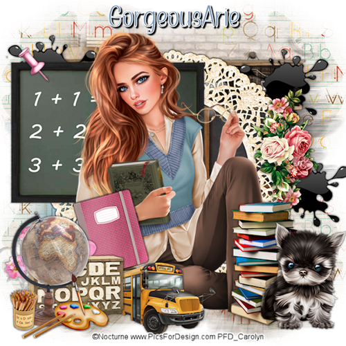 GorgeousArieNocSchoolMC vi.png