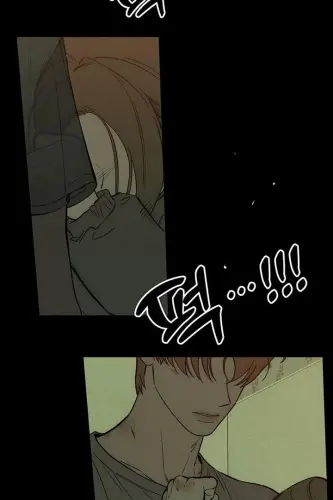 1060.webp