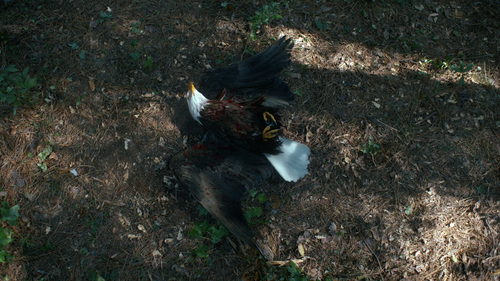 vlcsnap 2025 09 18 22h02m00s290.png