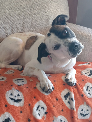 280d2d0e 09f8 45f1 8d18 42620c3f63b2 1 all 128.jpg