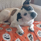 280d2d0e 09f8 45f1 8d18 42620c3f63b2 1 all 128