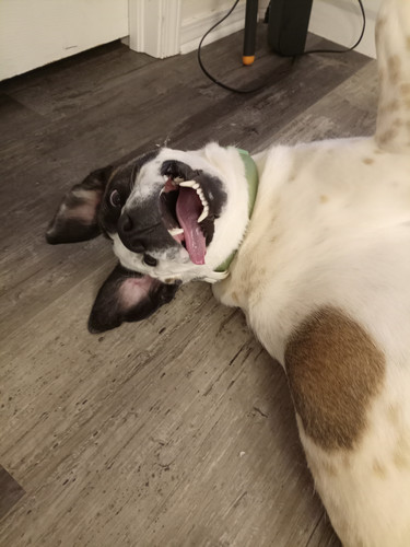 280d2d0e 09f8 45f1 8d18 42620c3f63b2 1 all 284.jpg