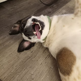 280d2d0e 09f8 45f1 8d18 42620c3f63b2 1 all 284