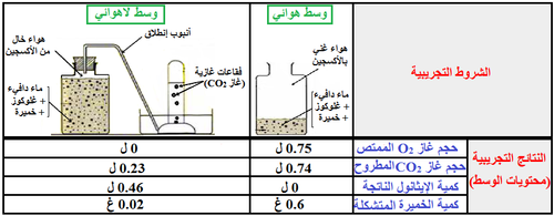 الوثيقة 3.png