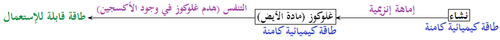 إماهة إنزيمية للنشاء.png