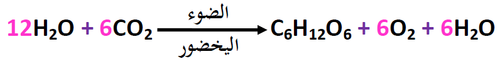 المعادلة الإجمالية.png