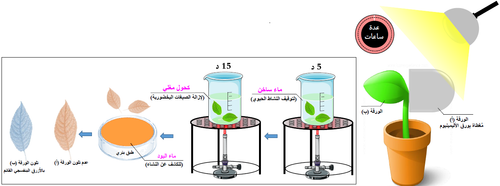 الوثيقة 1.png
