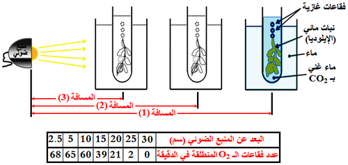 الوثيقة 5.png