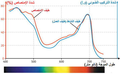 الوثيقة 3.png