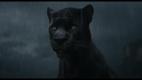 vlcsnap 2025 09 18 16h57m04s870.jpg