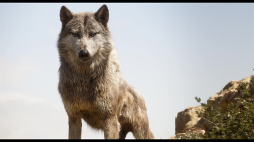 vlcsnap 2025 09 18 16h56m38s836.jpg