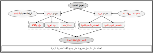 مخطط إجابة.png