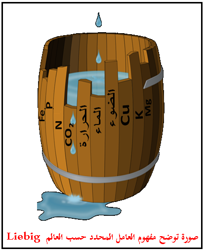 صورة توضح مفهوم العامل المحدد.png