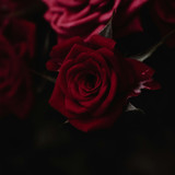 pexels badesaba 11769858