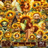 BC SunflowersSunshine