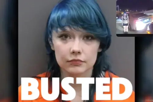 Drunk Blue Haired Driver.webp