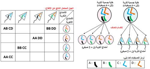 الوثيقة 2.png