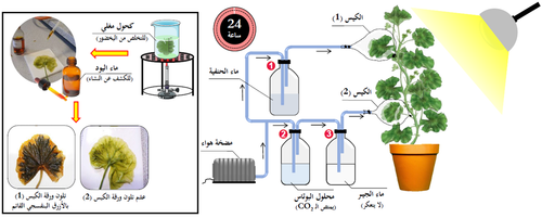 الوثيقة 1.png