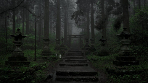 New Project (80).png